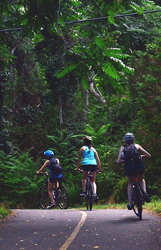 Three young people ride bicycles along a paved trail through woods.