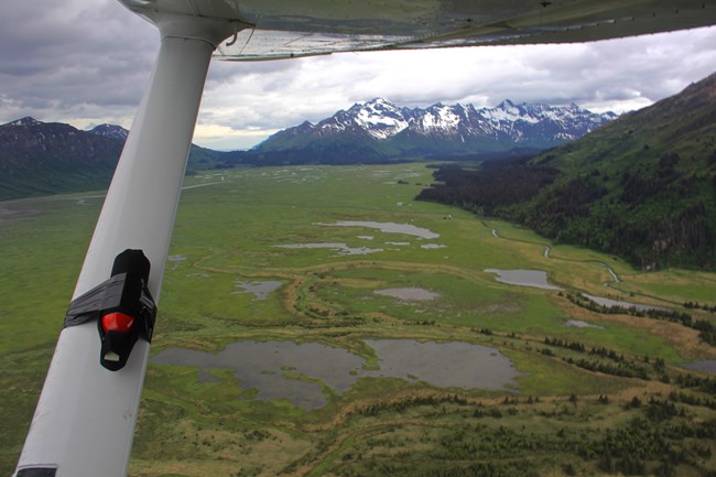 bear spray taped to the wing of a plane