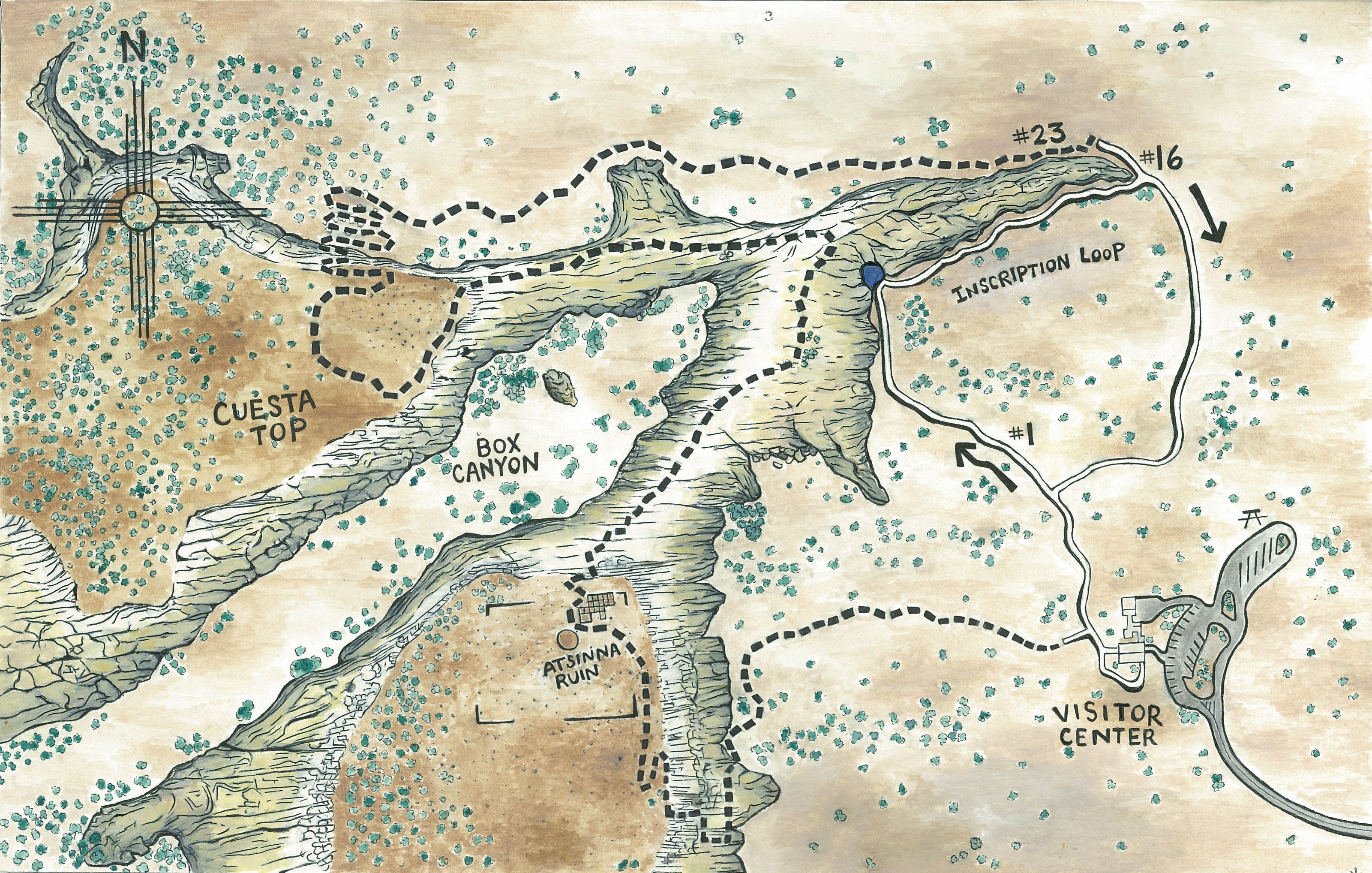 A map showing a short trail with a solid white line and a longer trail with a dashed black line