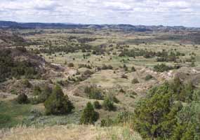 A total of 42% of Theodore Roosevelt National Park is legislative wilderness A total of 42% of Theodore Roosevelt National Park is legislative wilderness