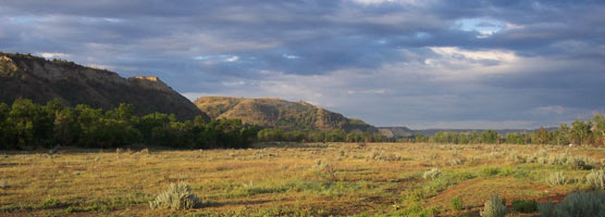 Theodore Roosevelt National Park provides the opportunity to learn about the legacy of our nation's 26th President.