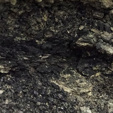 Small pieces of black lignite coal flake out of a hillside