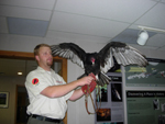 Birds of Prey evening program.&nbsp;