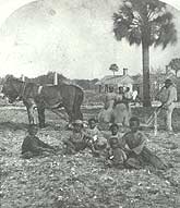 Slave family in a field at Kingsley Plantation