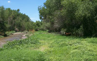 Santa Cruz River