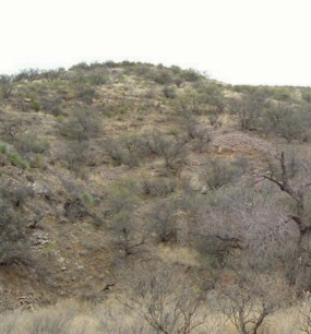 Planchas de Plata Canyon
