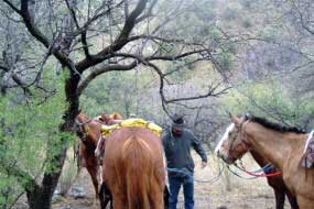 Planchas de Plata near the orginal Arizona Ranch