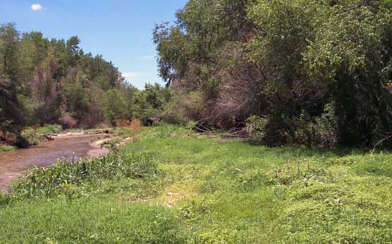 Lush River Valley of the Pimer&iacute;a Alta