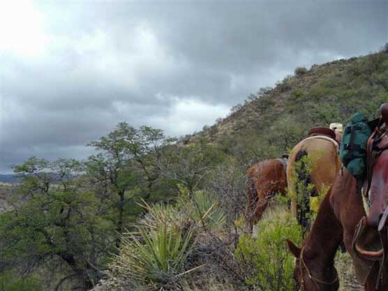 Between Arizona and the Planchas de Plata