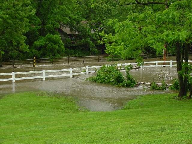 flood image