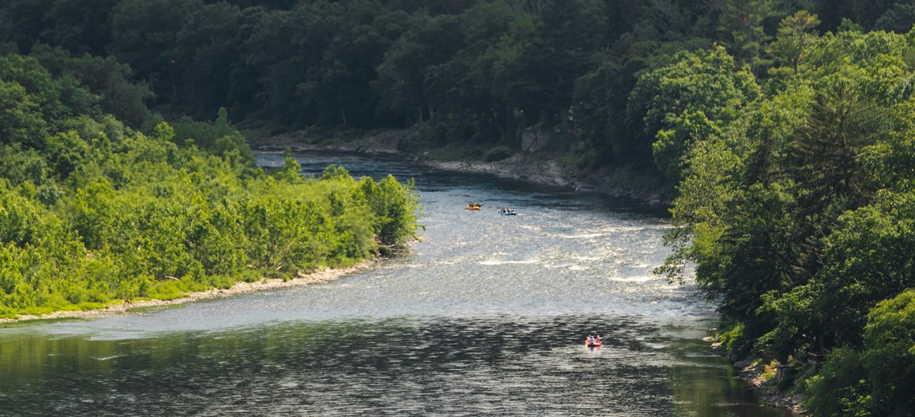 río con árboles en sus orillas.  Los kayakistas reman en el agua.