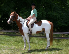 A girl sitting on a horse.