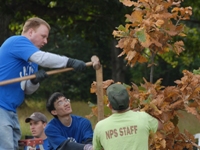 Tree Planting on Public Lands Day