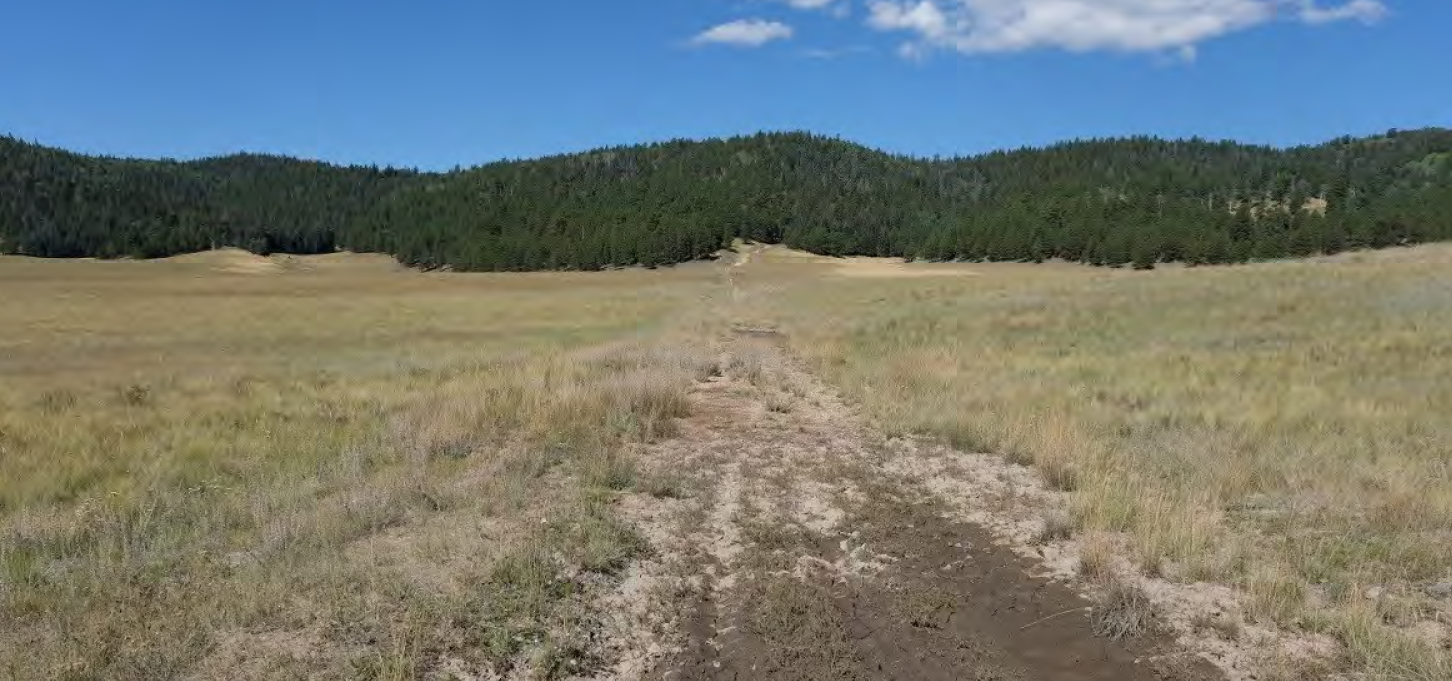 A dirt and mud road cuts across a large grassland