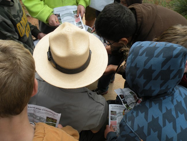 View of park ranger from above surrounded by children working on junior ranger books.