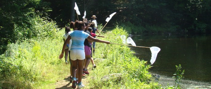 Modern Weir Pond Banner