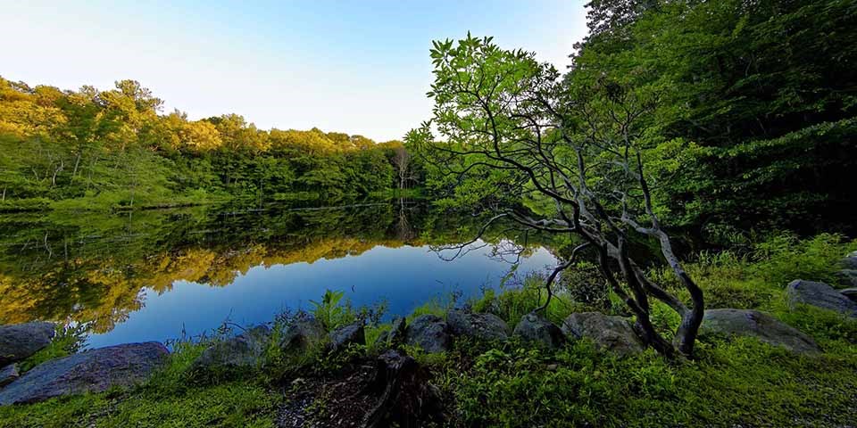 Weir pond