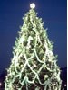 1980 National Christmas Tree (Photo by Aldon Nielson)