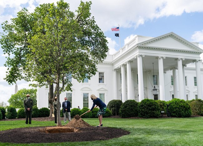 First Lady Dr. Jill Biden, wearing a mask, throws dirt with a shovel in front of the White House; several park rangers wearing masks stand in the background.