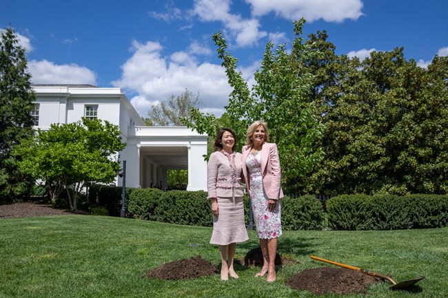 Jill Biden and another woman pose with shovels by a small tree near the East Wing.