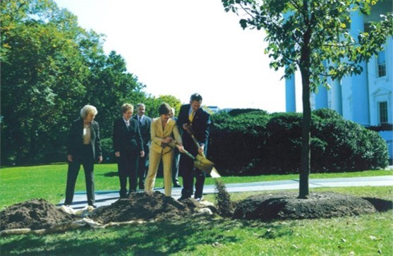 George and Laura Bush shovel dirt onto a tree at the White House.