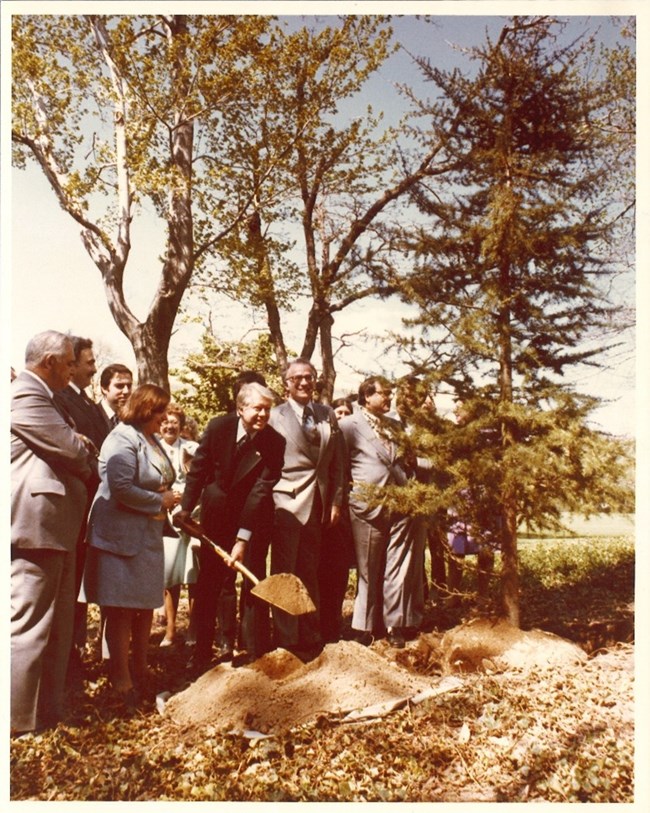 Jimmy Carter lifts a shovelful of dirt to plant a small cedar tree with several dignitaries on either side.