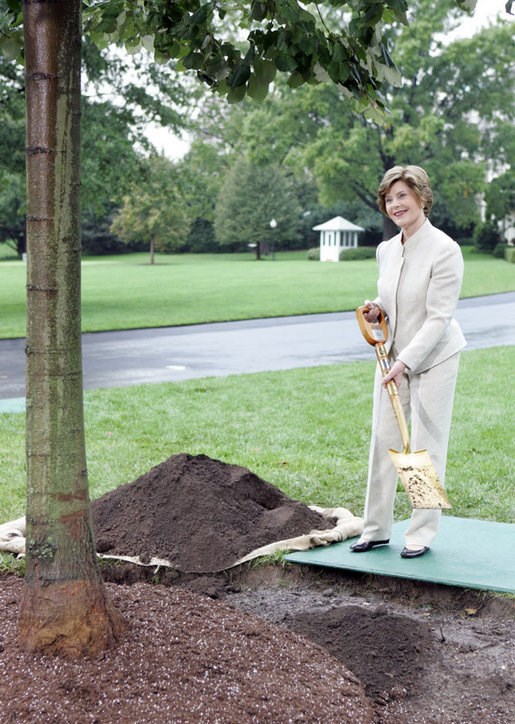 Laura Bush holds a shovel by a tree ready to be planted.