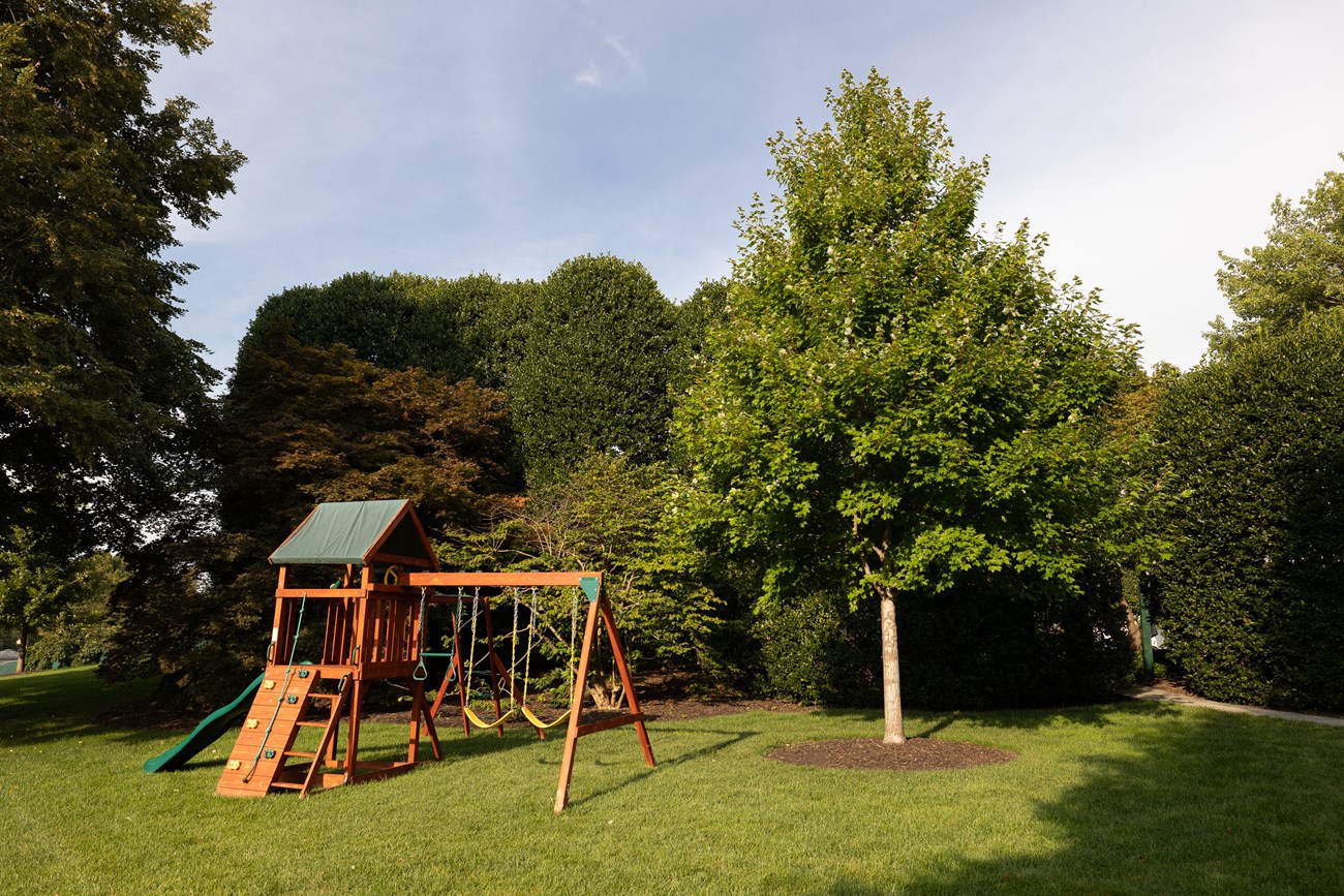 A triangular-shaped maple tree adjacent to a children's play structure.