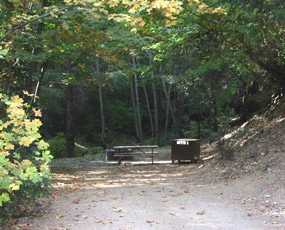 Campsite at Crystal Creek primitive campground.