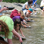 Visitors Goldpanning at Whiskeytown