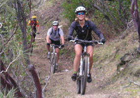 Mountain bikers on trail.