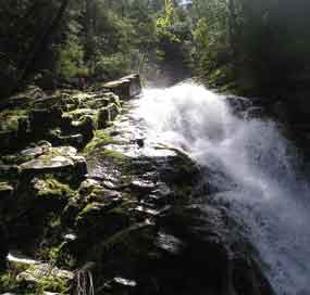 View of Whiskeytown Waterfall