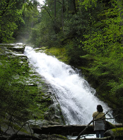 Lone hiker at recently re-discoverd waterfall.
