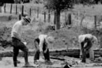 Men working on archeological dig.