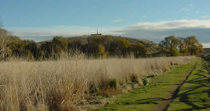 Tall, Giant Wild Rye in foreground; hill and monument in distance.