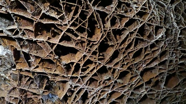 Box-shaped openings on a cave ceiling created by thin fins of brown-colored calcite.