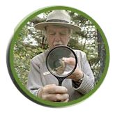 Become A Web Ranger