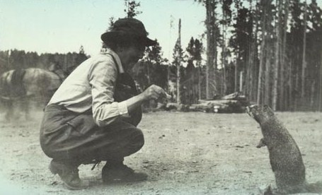 Woman feeding marmot, circa 1925. Photo: YELL 193674-3