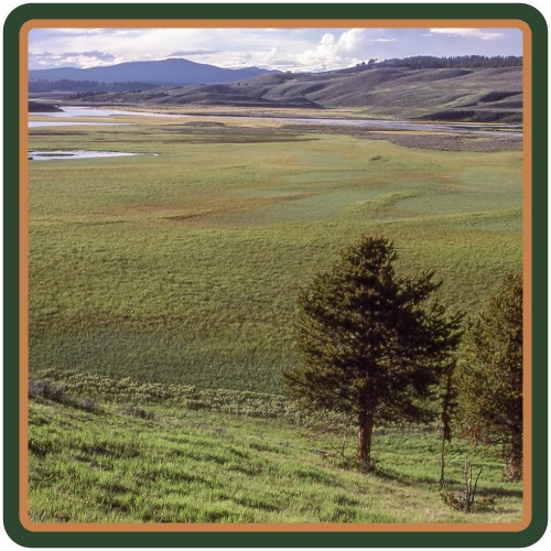 The Yellowstone River meanders through the grassy, open valley.