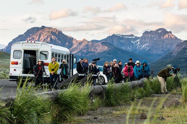 People stand next to a white bus on the road watching wildlife in the distance