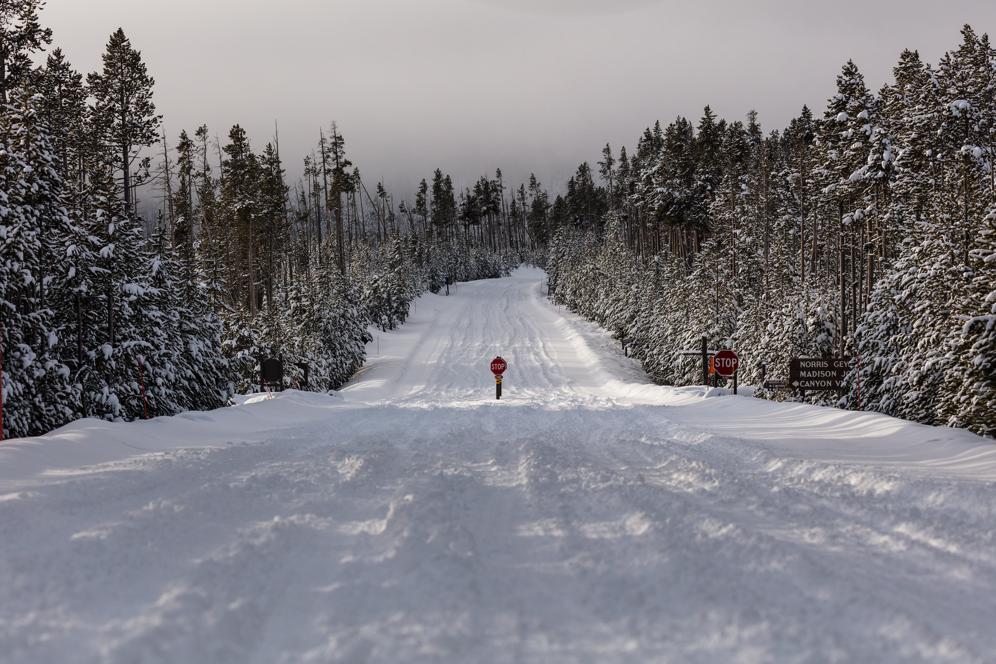 A road intersection with tire tracks cutting through the several inches of snow that cover the road surface.