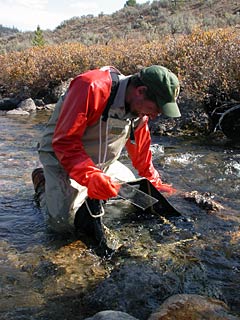 Park staff working in stream.