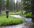 Two people fishing in a park stream.