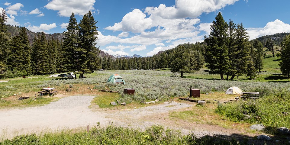Sites in the Slough Creek Campground