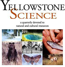 Composite photo of wolf running through snow, beautiful thermal, small trout in a hand, bear standing on hind legs, moth, and pronghorn.