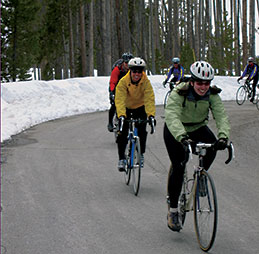 Bicyclists enjoy spring biking in Yellowstone.