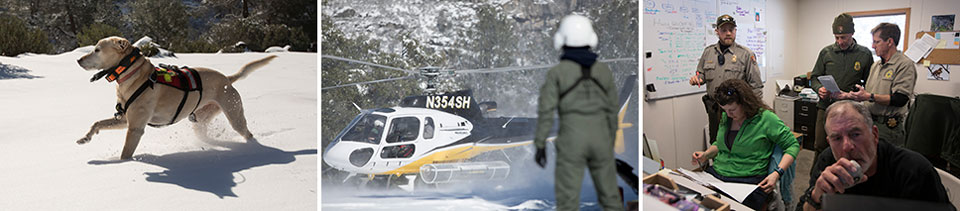 Three photos showing rescue dog running in snow. helicopter and ranger in snow, and rescue personnel in incident command post
