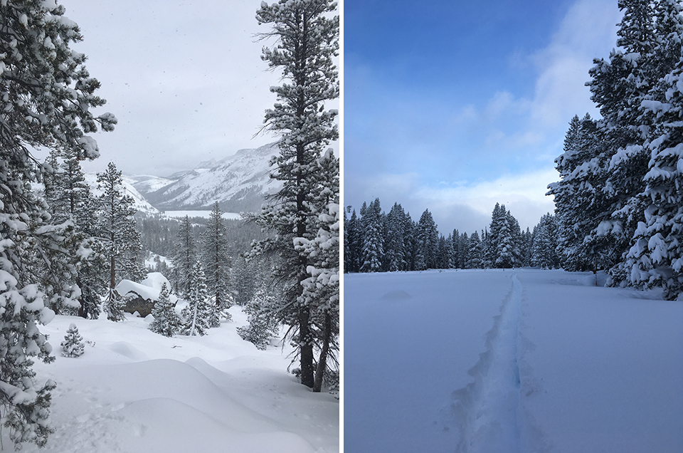 Left photo shows Tenaya Lake with fresh snow on January 25, 2021. Right photo shows fresh snow after the storm with ski tracks on January 29, 2021.
