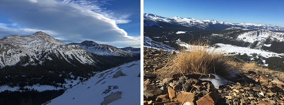 Left photo shows Mt. and Mt. Gibbs on Jan. 15, 2021. Right photo shows Dana Meadows from the slopes of Mt. Dana on January 16, 2021. 