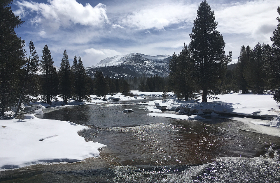 Mammoth Peak and the Lyell Fork on April 16, 2018.